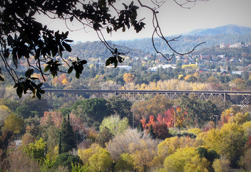 Therapy Options In Redding